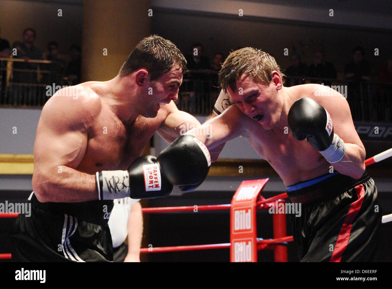 Le Russe Rakhim Chakhkiev boxeurs poids lourd (L) et Alexander Kotlobay face off au cours de boxe Fight Night à l'Universum Elysee Hotel à Hambourg, Allemagne, 28 janvier 2012. Photo : Christian Charisius Banque D'Images