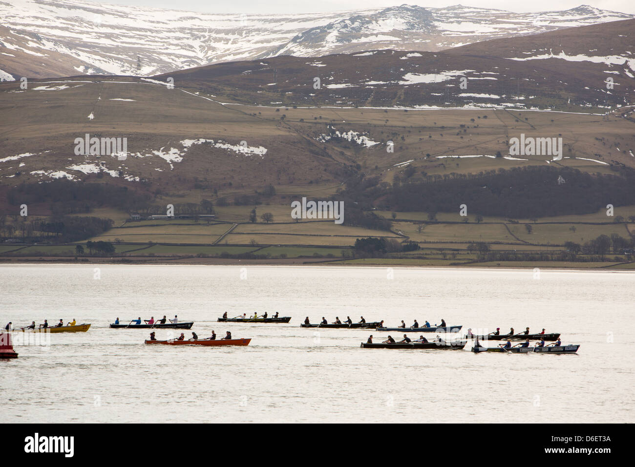 L'Assemblée annuelle de château en château boat race qui va du château de Beaumaris à Caernafon Château, le long du détroit de Menai, Anglesey, Pays de Galles, Royaume-Uni. Banque D'Images