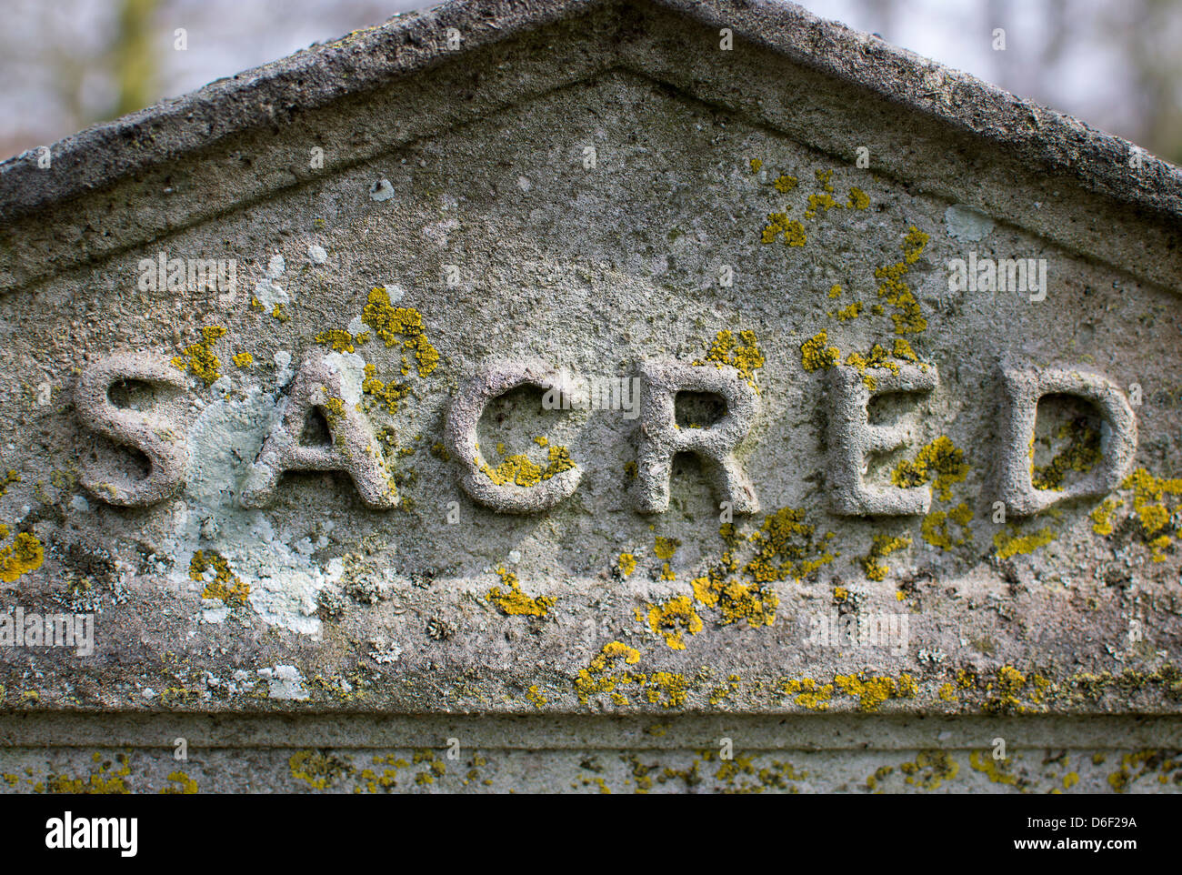 Le mot "sacré" sur une pierre tombale. Banque D'Images