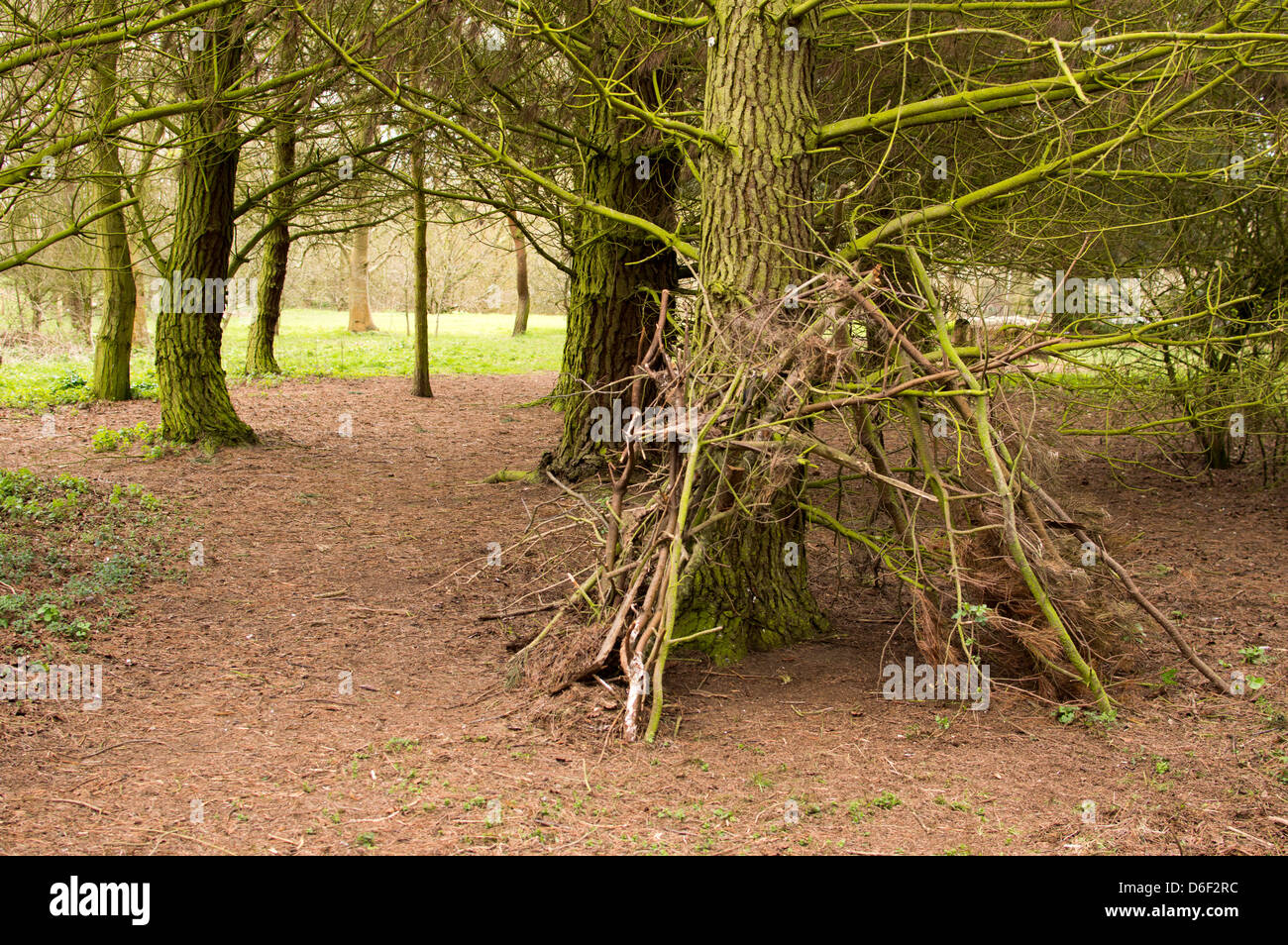 Un enfant tente de faire un gîte ou un camp de vieux bois et des branches. Banque D'Images