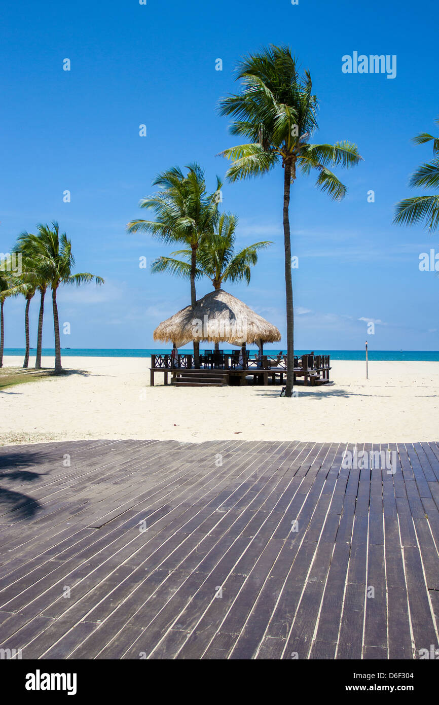 Cabane de plage bord de marche et de palmiers par la mer de Chine du sud à Rasa Ria Sabah Bornéo malayia bleu sable ciel soleil sunshine holiday Banque D'Images
