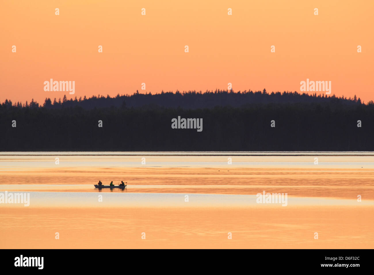 La pêche au lac Saadjärv au coucher du soleil. L'Estonie, Europe Banque D'Images