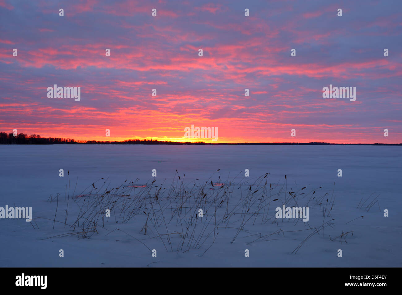 Lake Saadjärv en hiver au coucher du soleil. L'Estonie, Europe Banque D'Images