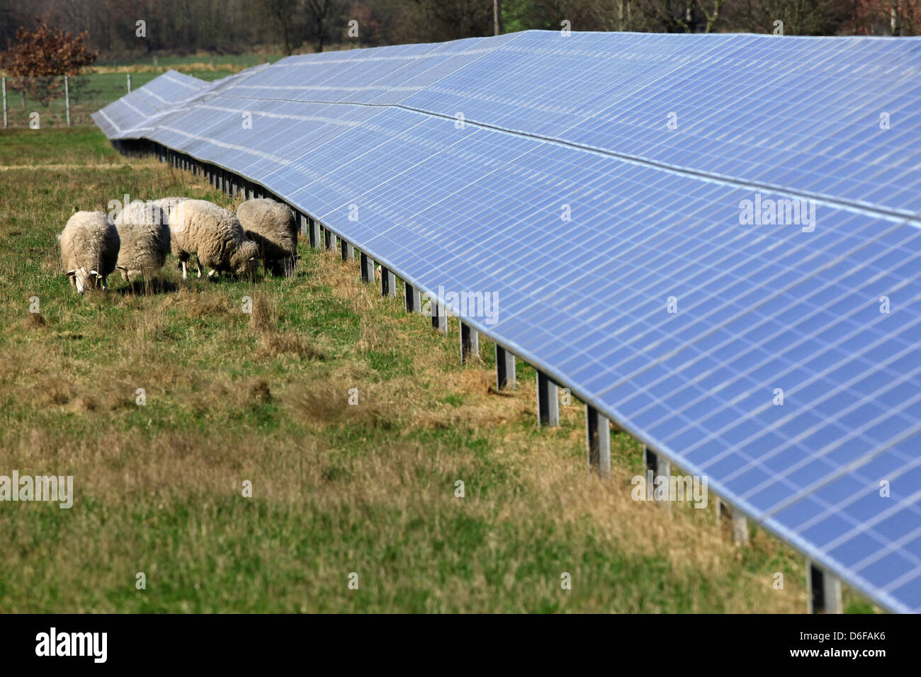 Horstedt, l'Allemagne, l'énergie solaire ferme avec des moutons Banque D'Images