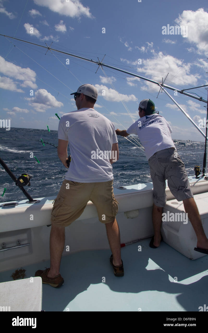 Toutes les lignes sont dans l'eau comme les clients à se préparer pour remonter une capture de dauphins du poisson à bord d'Lo Que Sea, off Ft. Pierce, FL Banque D'Images