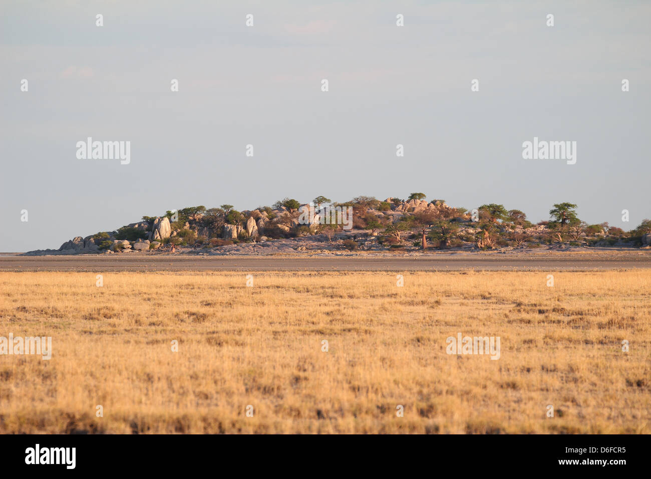 Vue sur Kubu Island, Sua Pan, sel Botswana Banque D'Images