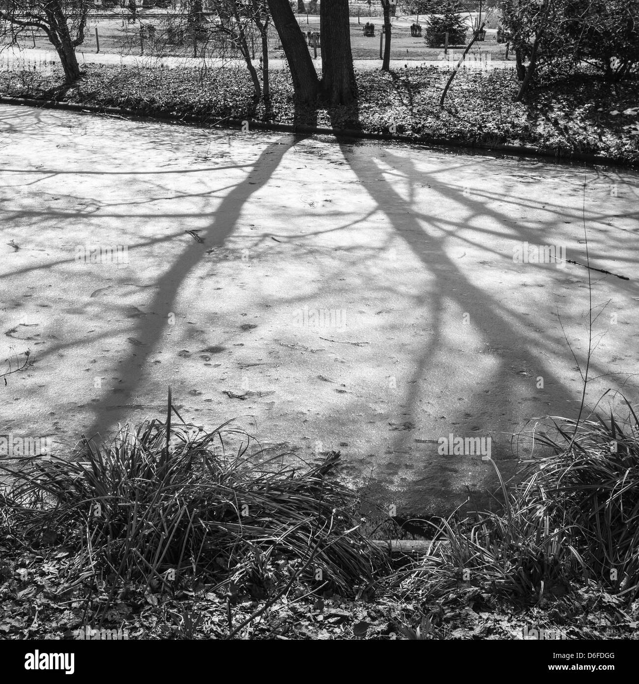 Le Tiergarten avec rivière gelée. Banque D'Images