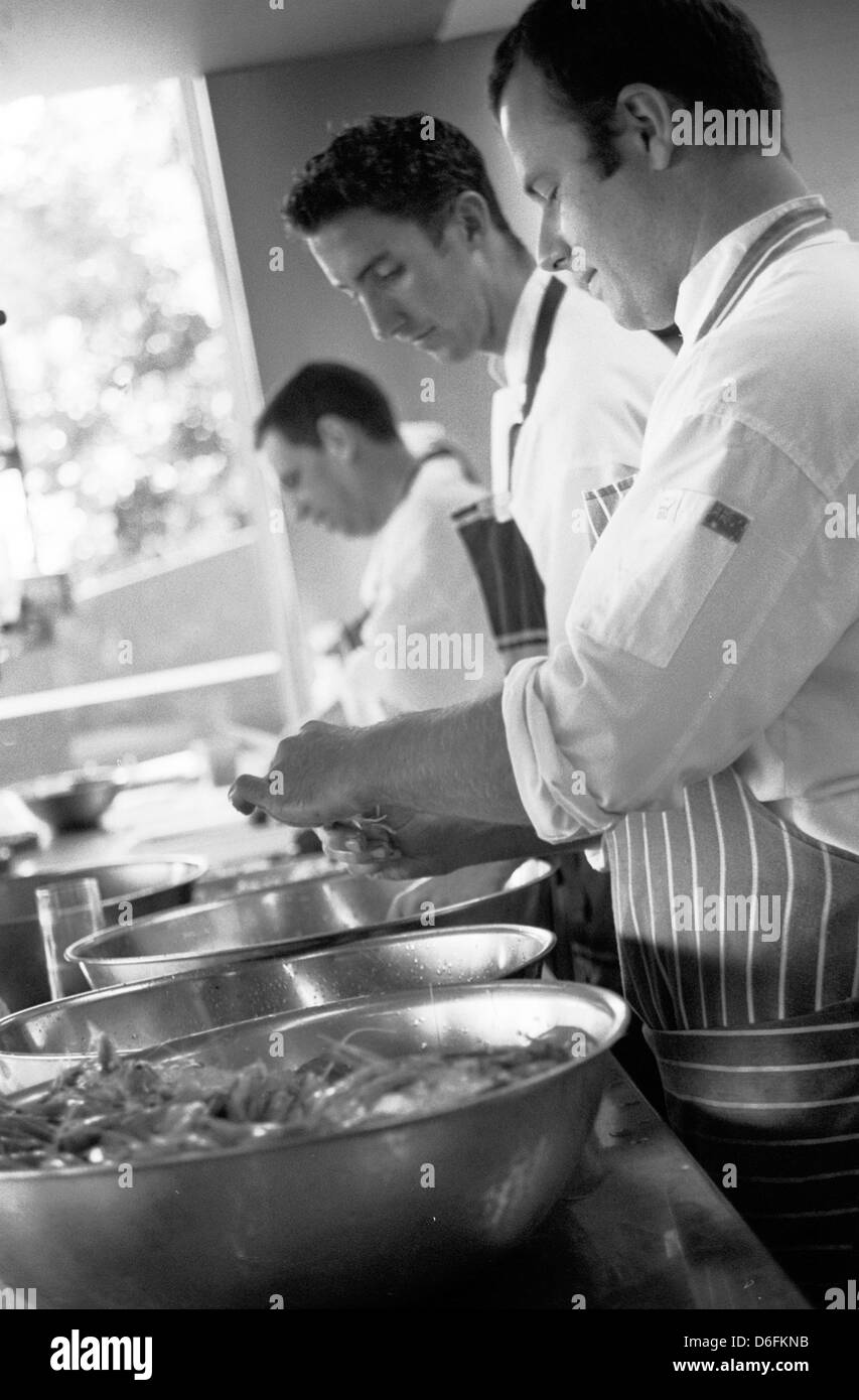 Chefs de cuisine, le noir et blanc Banque D'Images