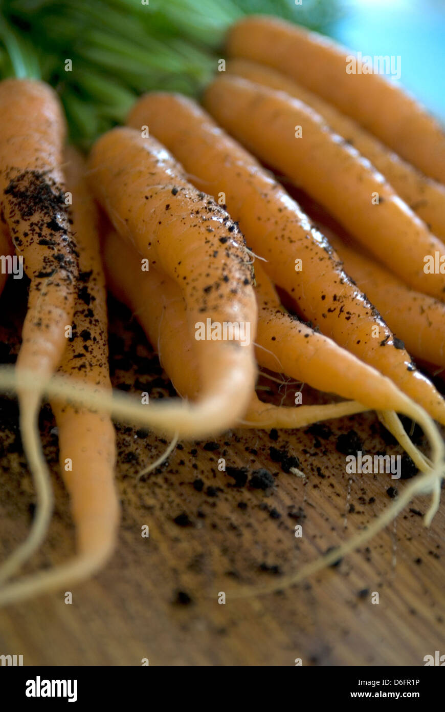 Carottes Banque D'Images