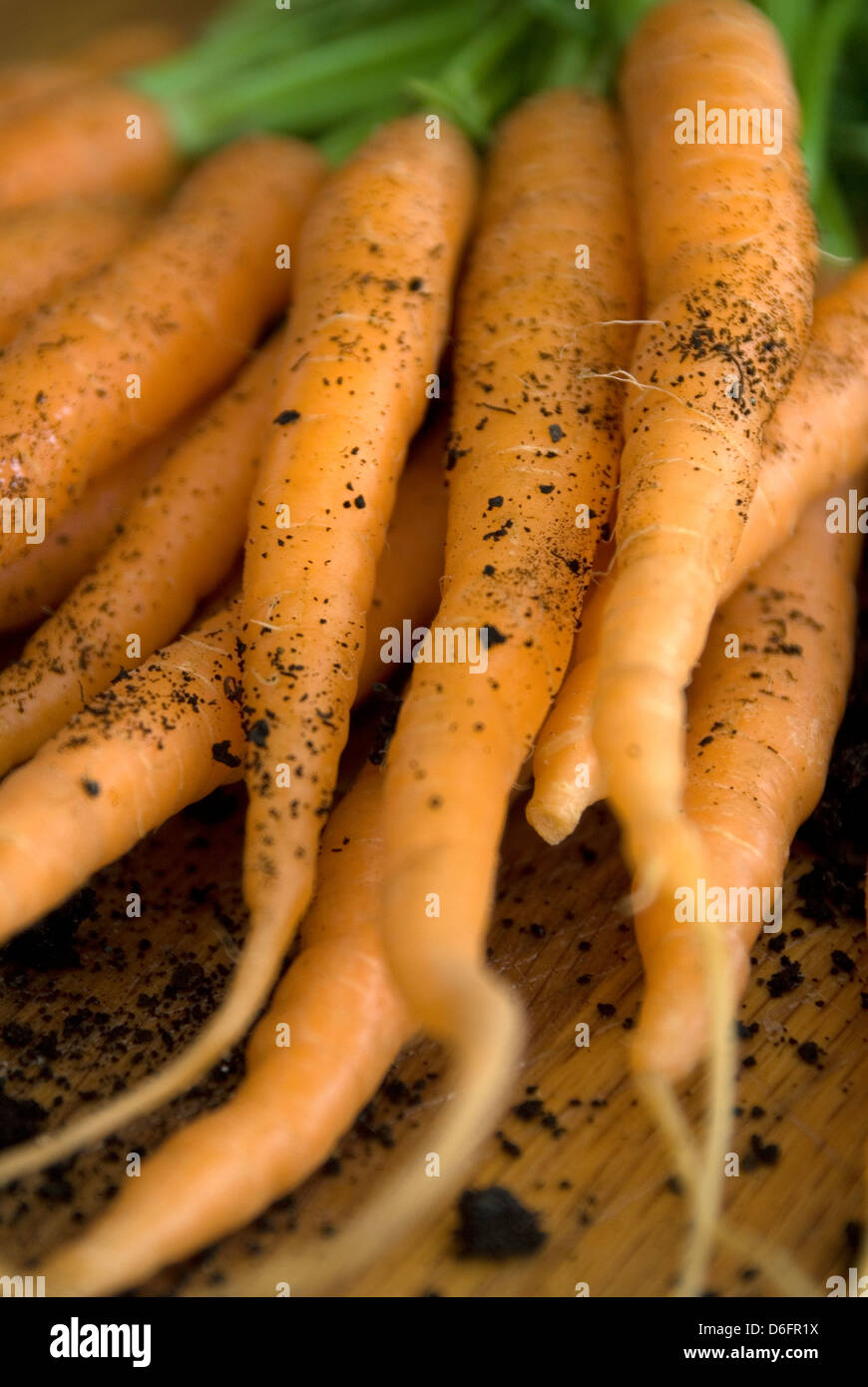 Carottes Banque D'Images