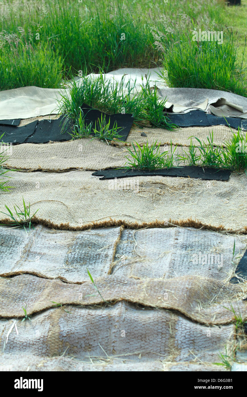 Les bandes de tapis d'herbe supress Banque D'Images