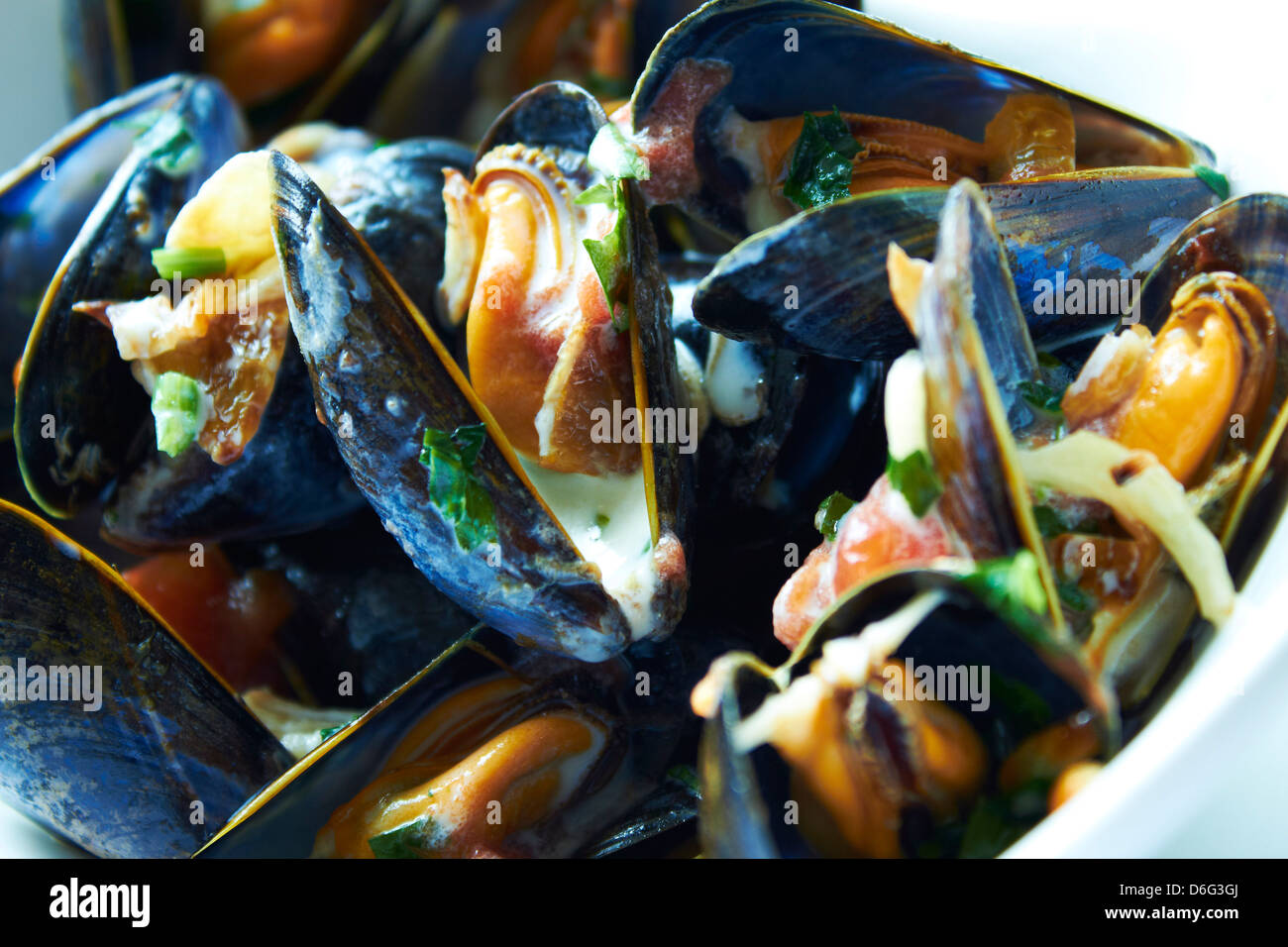 Marinière bébé Clearance