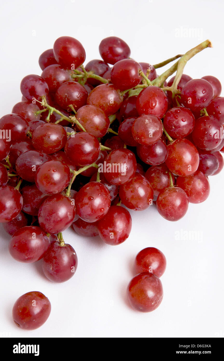 Grappe de raisin rouge raisin rouge Banque de photographies et d’images