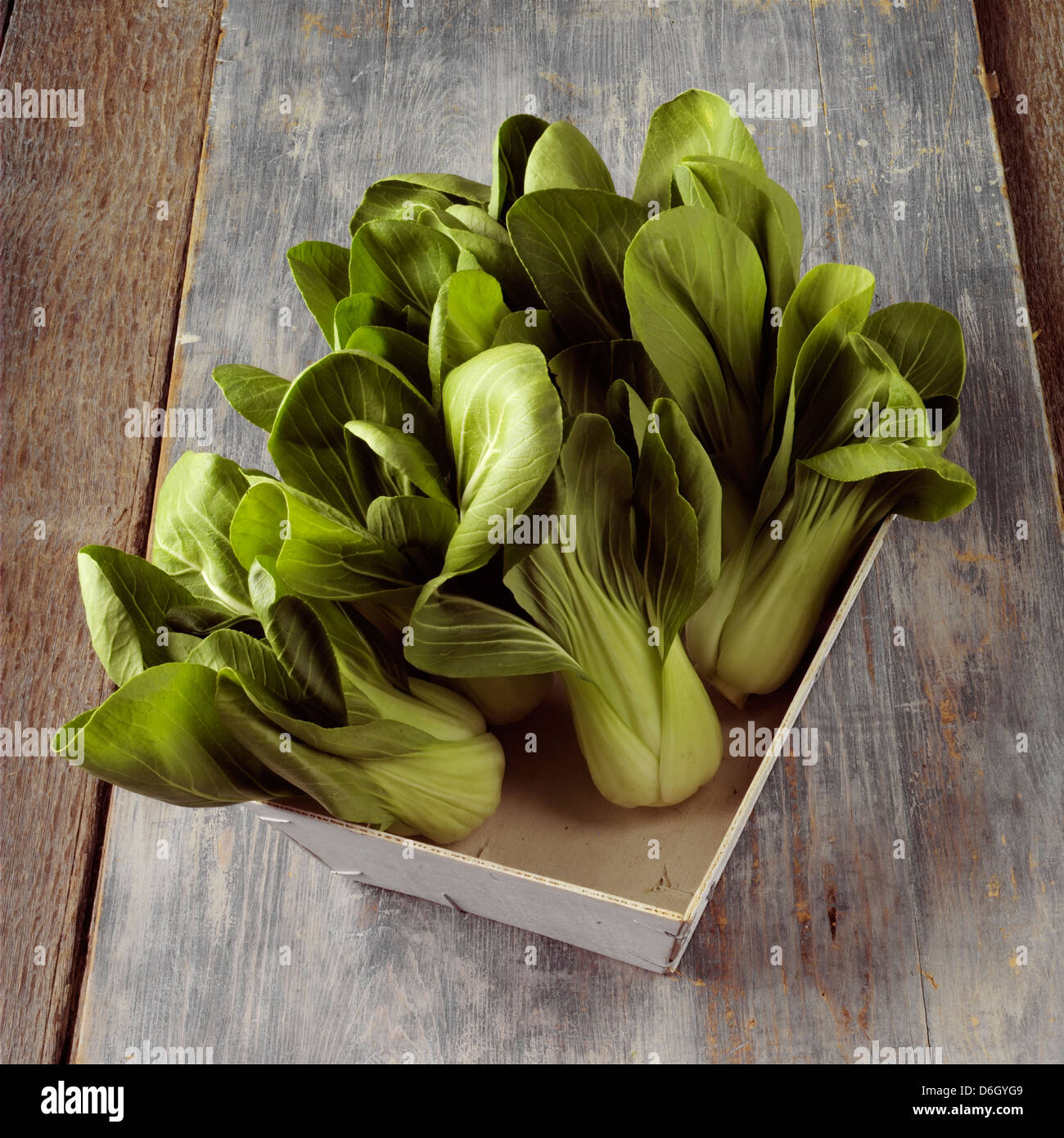 Pak choi dans un panier en bois Banque D'Images