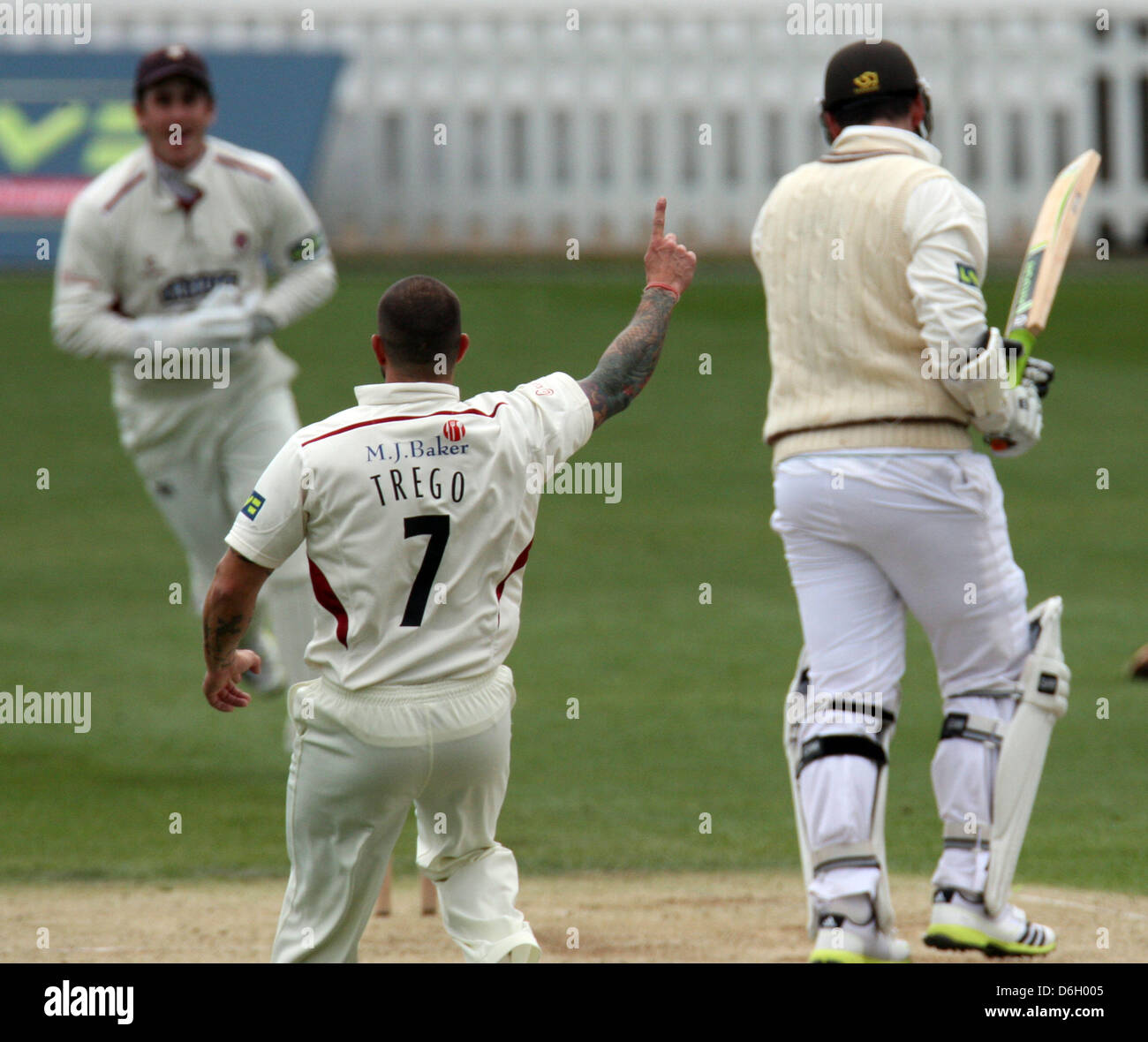 Londres, Royaume-Uni. 18 avril, 2013. Peter Trego de Somerset La CCC célèbre le guichet de Graeme Smith de Surrey le CCCduring LV County Championship Division 1 match entre Surrey et Somerset de l'Ovale. Banque D'Images