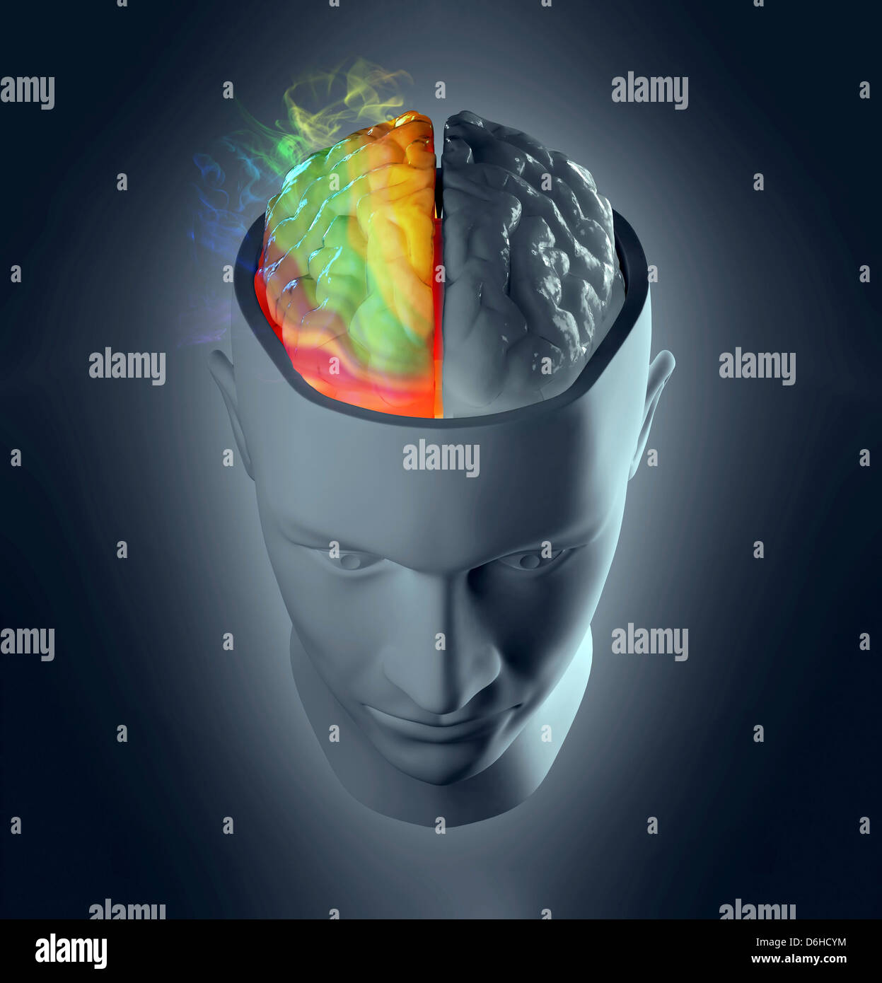 Hémisphères du cerveau Banque de photographies et d’images à haute ...