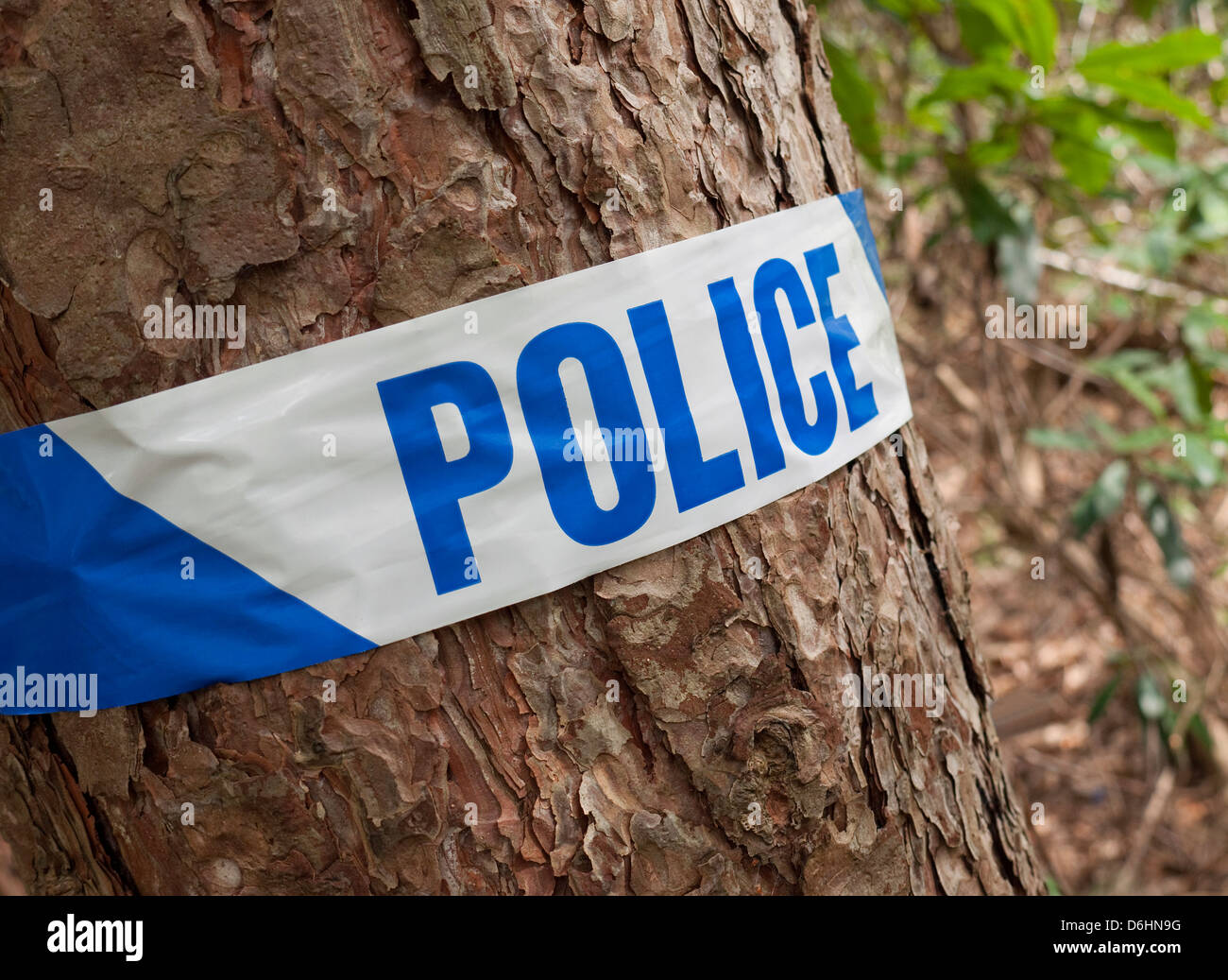 scène de police de la bande de crime dans les bois, norfolk, angleterre Banque D'Images