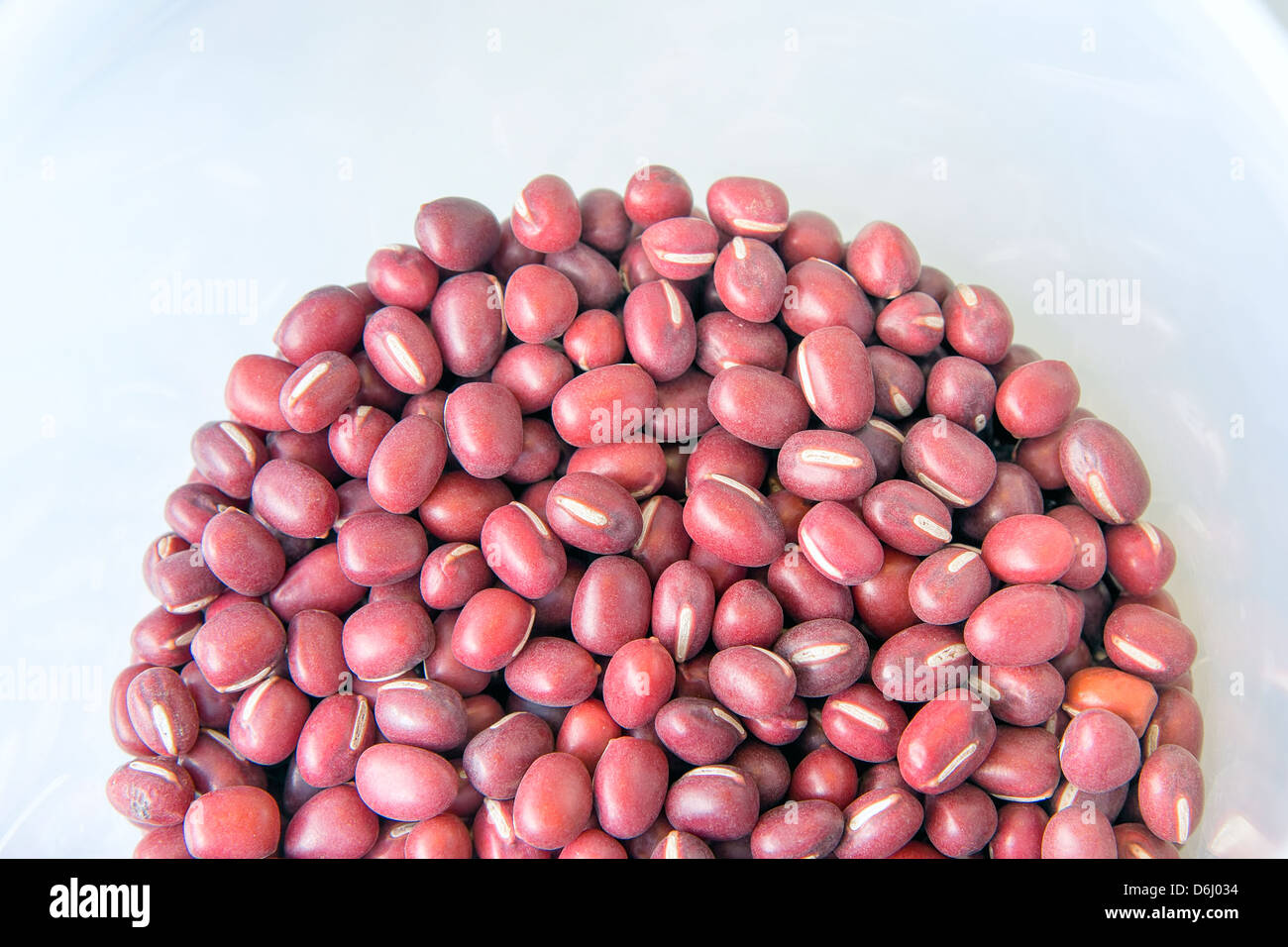 Haricots rouges azuki dans un contenant de plastique Banque D'Images