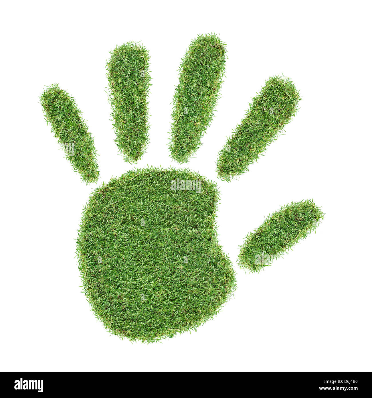 De l'herbe réelle impression main isolé sur fond blanc Banque D'Images