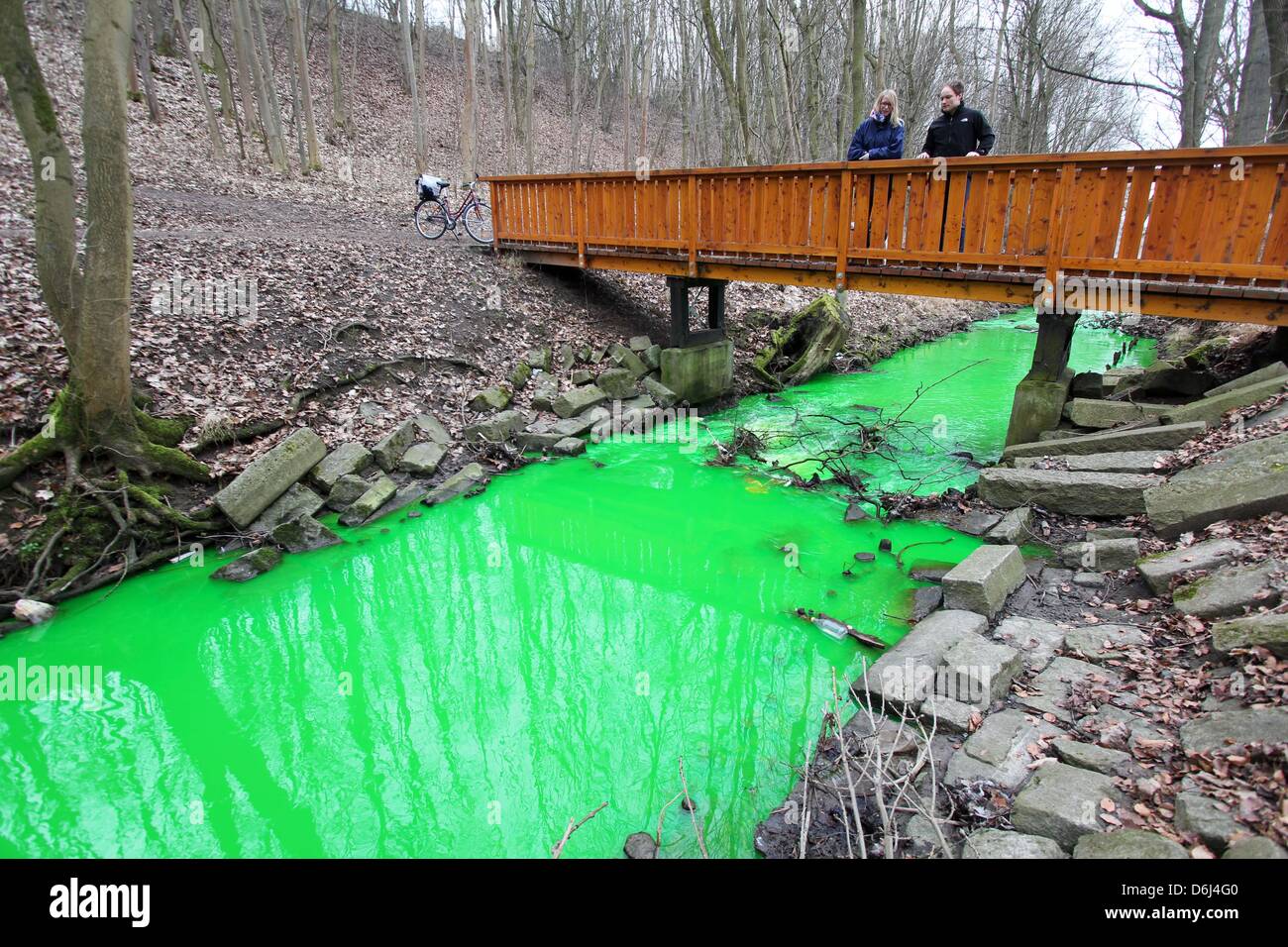 Deux personnes observent un flux de couleur verte à Goettingen, Allemagne, 02 mars 2012. Produits chimiques ont été libérés, en raison d'un incendie dans une installation de stockage à Casazza et lavés dans le cours d'eau par les eaux d'extinction. Selon la police, les produits chimiques étaient sans danger. Photo : Stefan Rampfel Banque D'Images