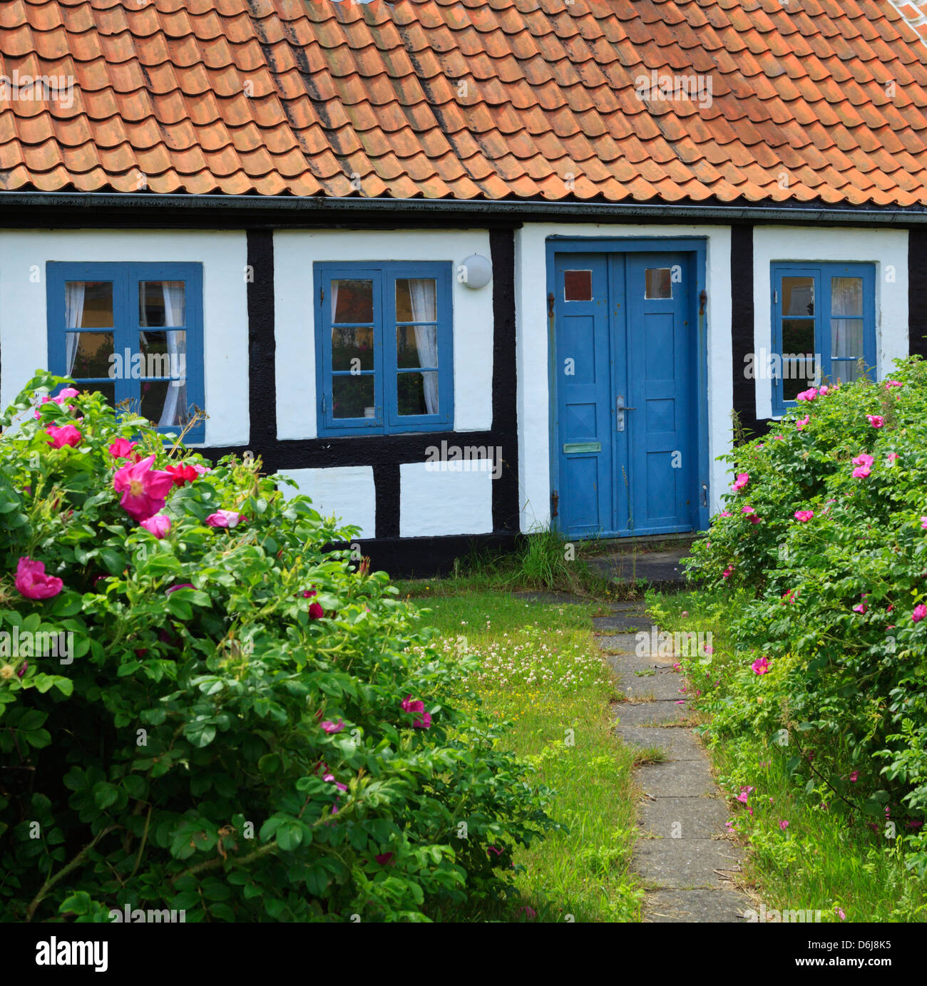 Maison à colombages traditionnelle, Gammel Skagen, Jutland, Danemark, Scandinavie, Europe Banque D'Images