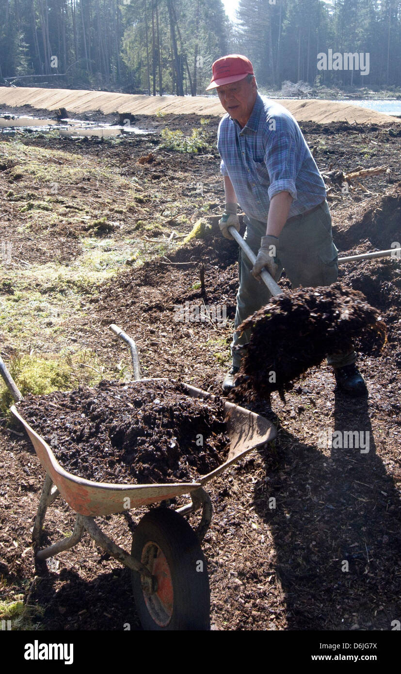 Un travailleur forestier remplit une brouette avec le paillis d'écorce près de Ostrach, Allemagne, le 16 mars 2012. Le Pfrunger-Burgweiler renaturated Ried des milieux humides, au après la lande a été vidangée dans une large mesure au cours des siècles pour permettre à la tourbe, l'agriculture et le tourisme. Photo : Tobias Kleinschmidt Banque D'Images