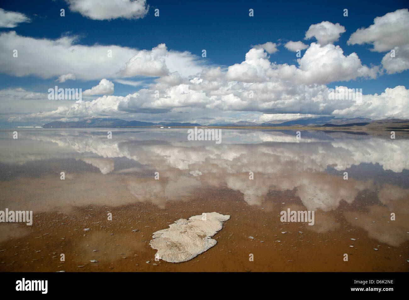 Salinas Grandes, Province de Jujuy, Argentine, Amérique du Sud Banque D'Images