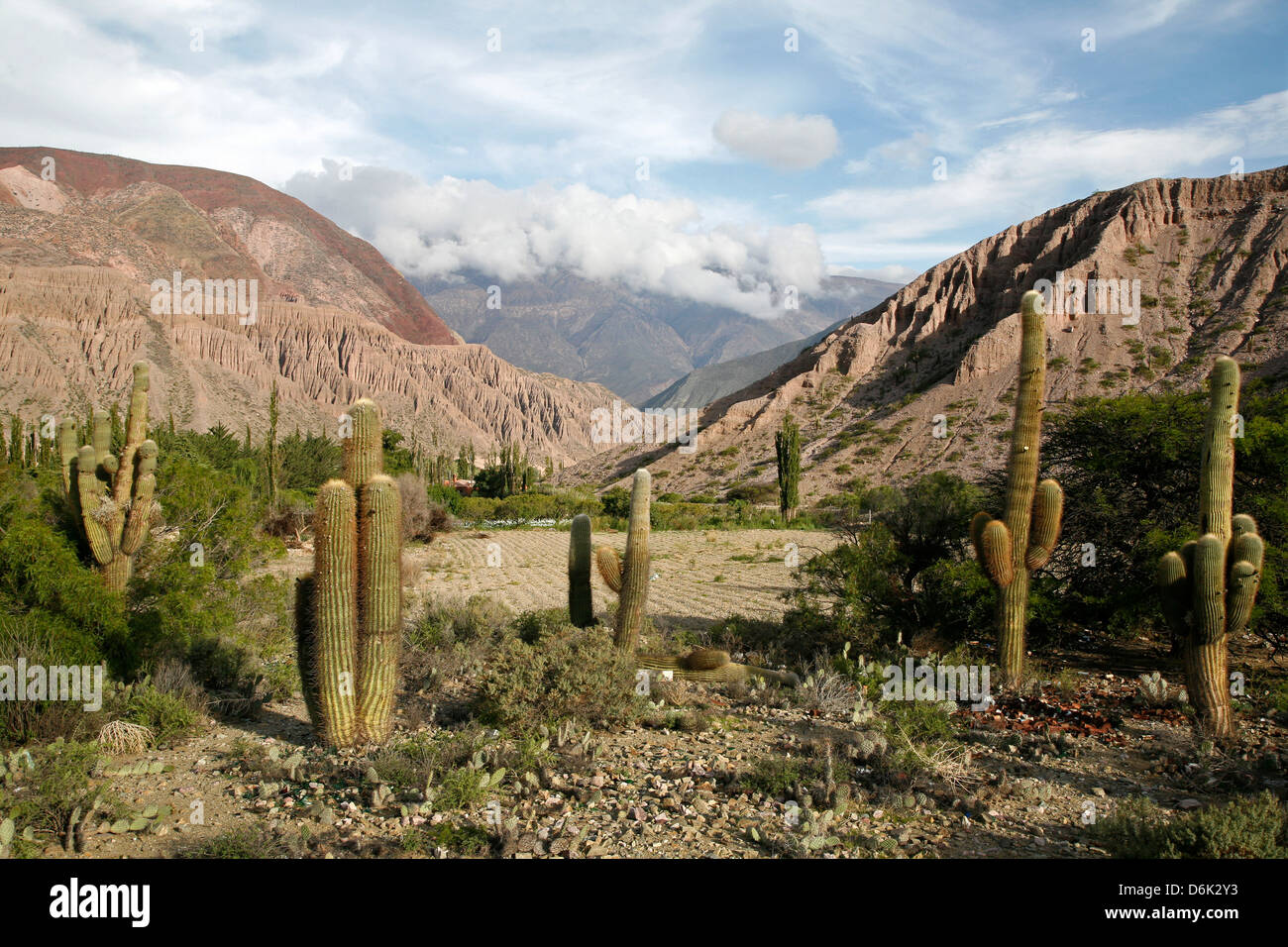 Paysage près de Purmamarca, Province de Jujuy, Argentine, Amérique du Sud Banque D'Images