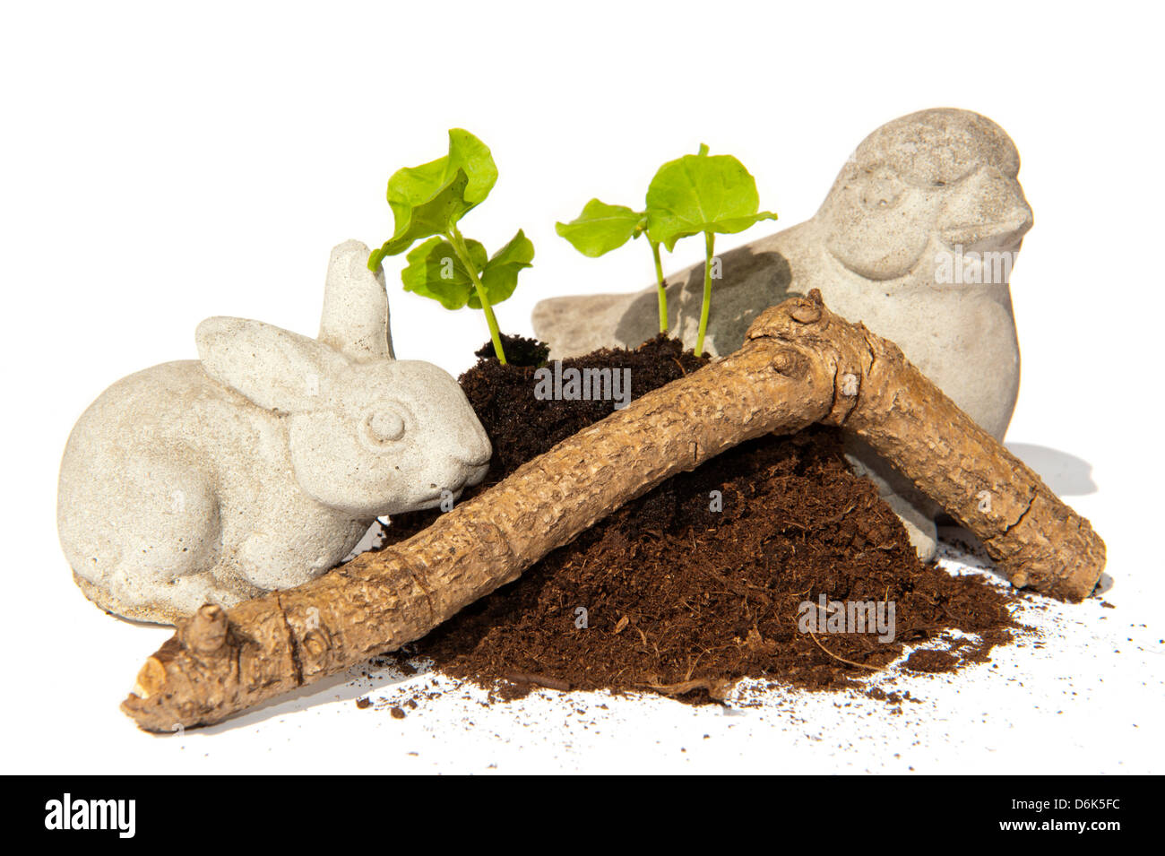 Les jeunes boutures de semences de l'Hibiscus dans un tas de terre orné d'oiseaux avec une pierre, une pierre lapin et une branche en bois Banque D'Images