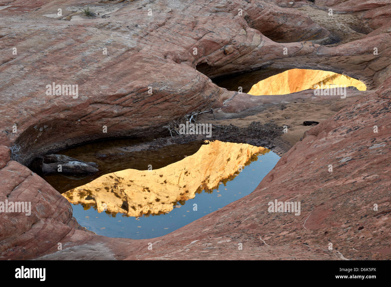 Réflexions dans les piscines parmi les grès, Zion National Park, Utah, États-Unis d'Amérique, Amérique du Nord Banque D'Images
