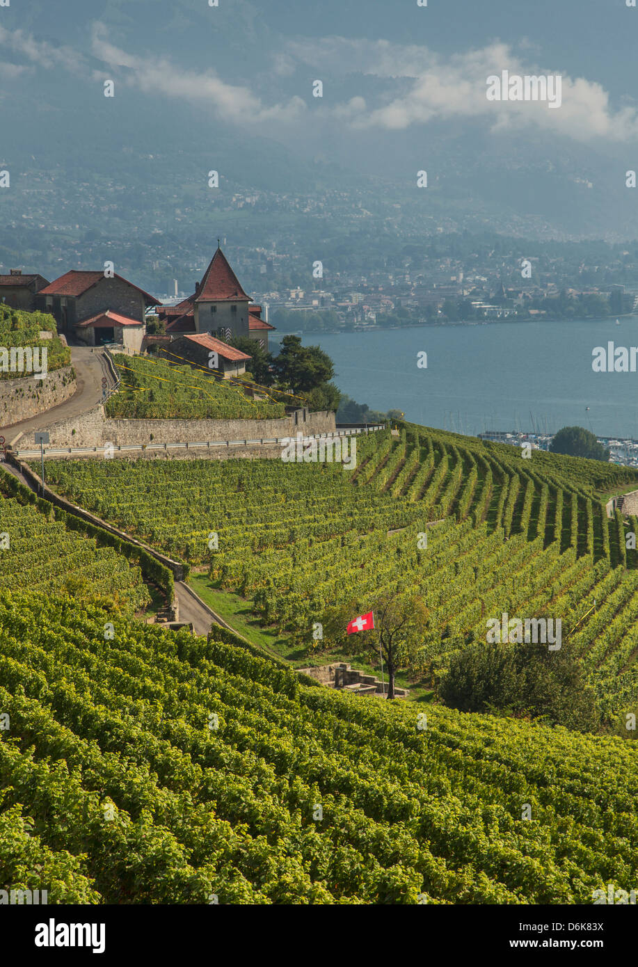 Lavaux, vignobles en terrasses sur le lac de Genève, Montreux, Canton de Vaud, Suisse, Europe Banque D'Images
