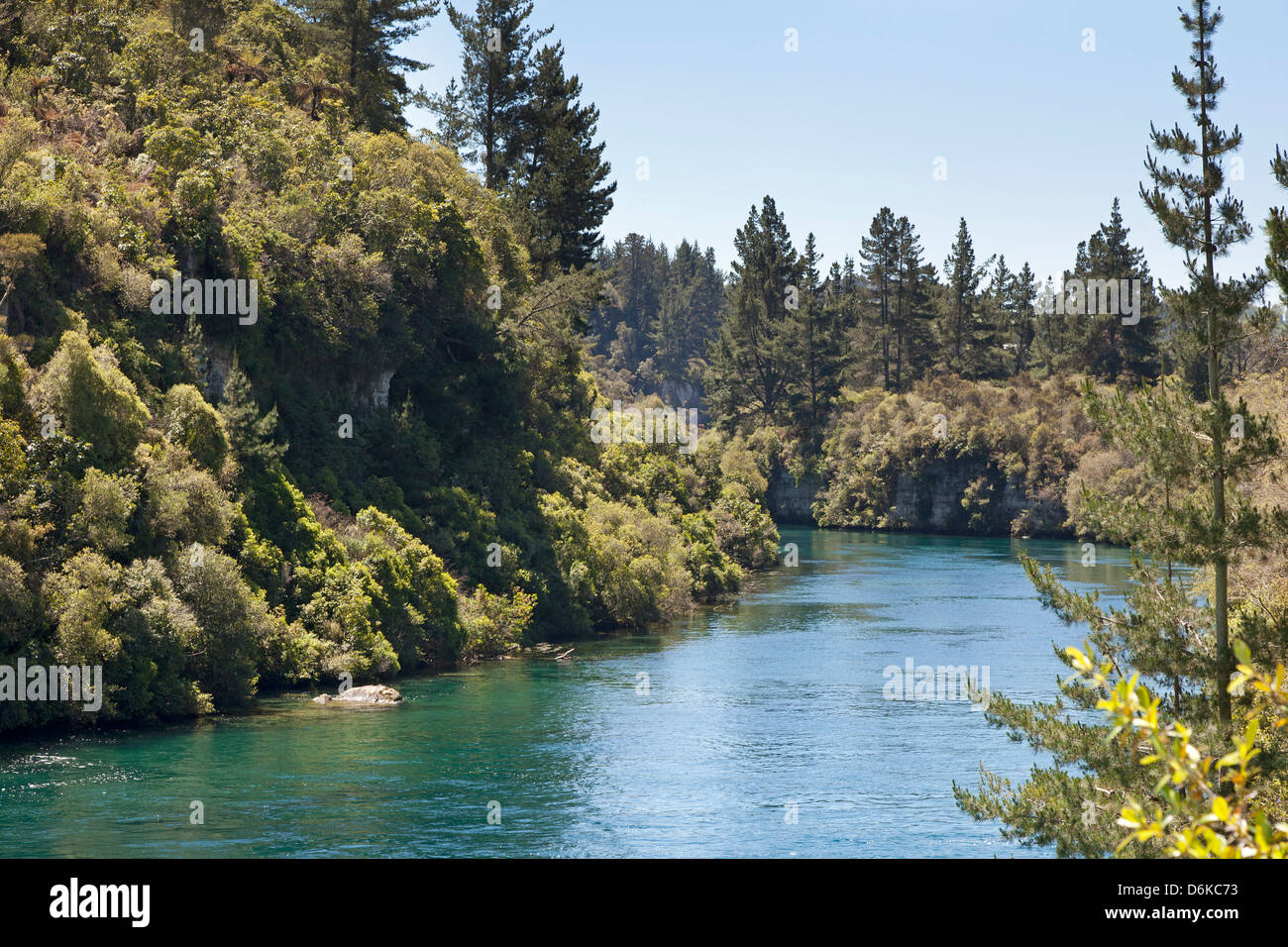 Près de la rivière Waikato Taupo Nouvelle-zélande Banque D'Images