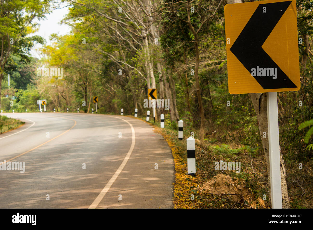 Le coude gauche. Banque D'Images