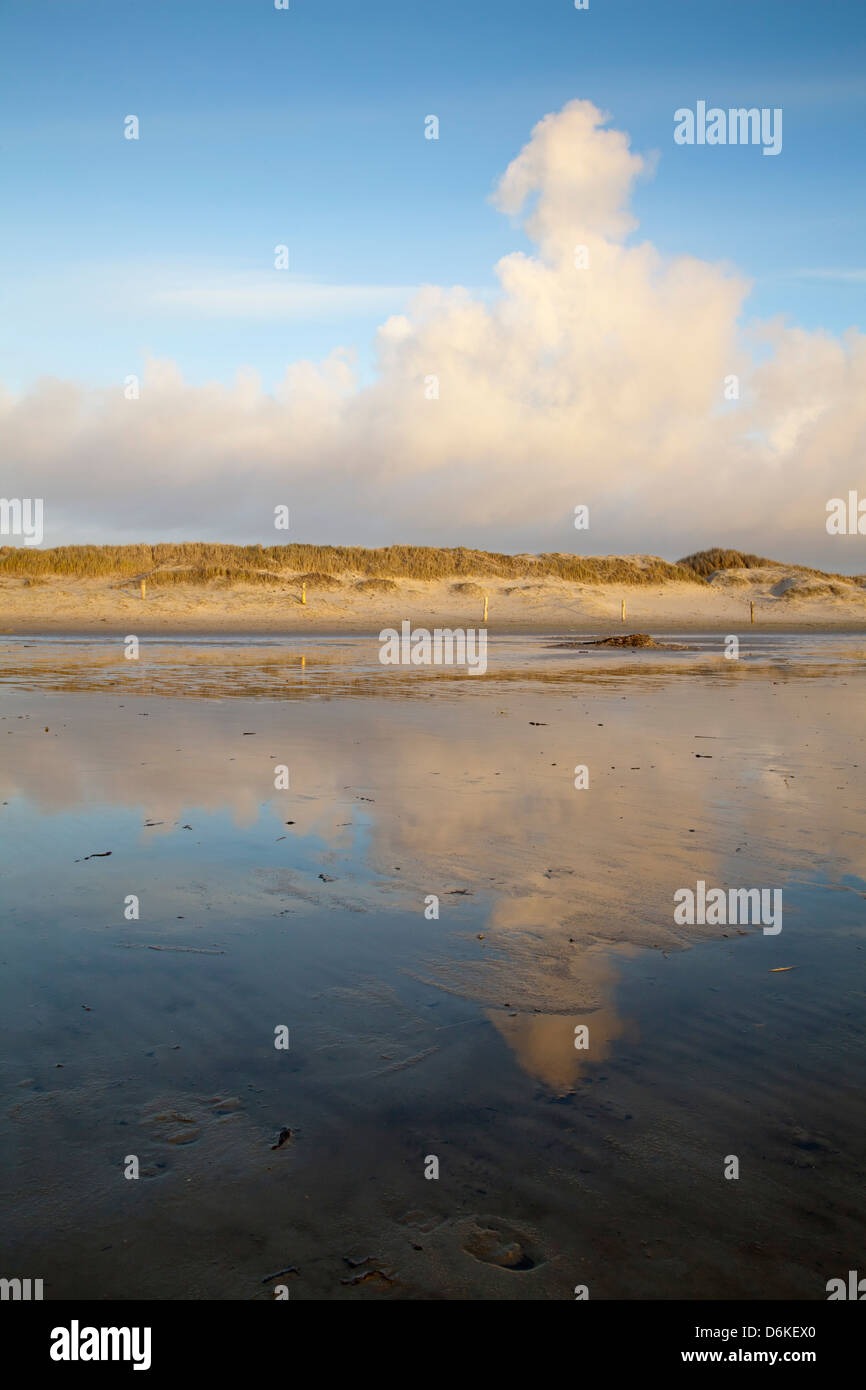 Parc National de la mer des Wadden, Eiderstedt péninsule, de Frise du Nord, Schleswig-Holstein, Allemagne, Europe Banque D'Images Parc National de la mer des Wadden, Eiderstedt péninsule, de Frise du Nord, Schleswig-Holstein, Allemagne, Europe Banque D'Images