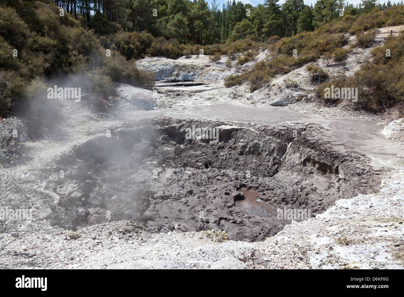 Developers's Ink Pots à Wai-O-Tapu réserve géothermique de Rotorua, Nouvelle-Zélande Banque D'Images