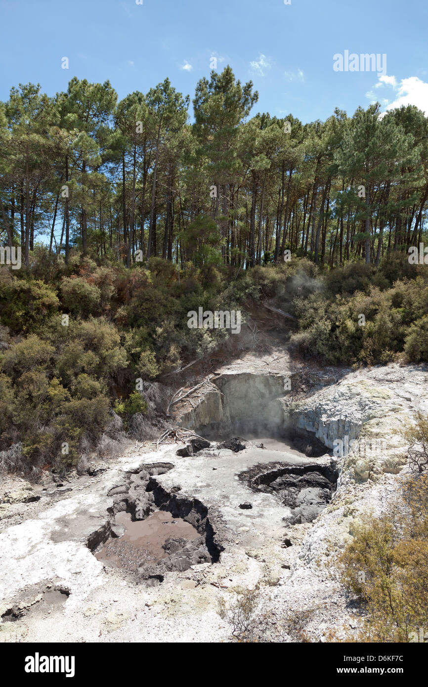 Wai-O-Tapu réserve géothermique de Rotorua, Nouvelle-Zélande Banque D'Images