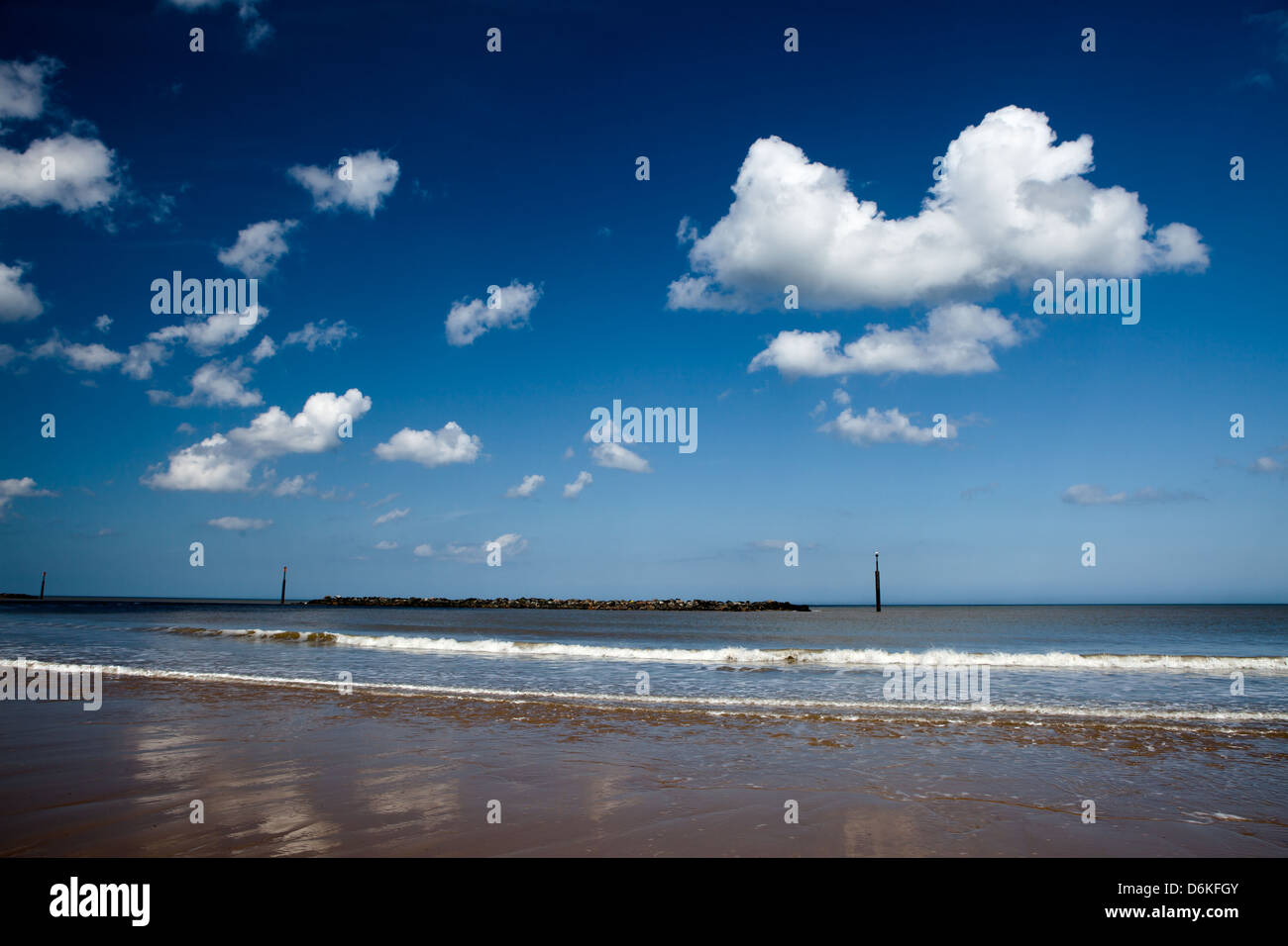Vagues au rivage Banque D'Images