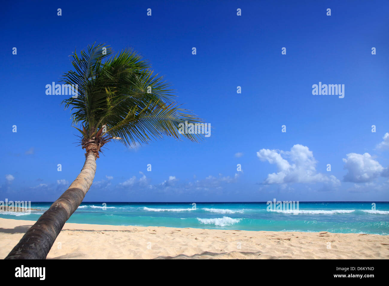 Vue de nice plage tropicale avec palm Banque D'Images