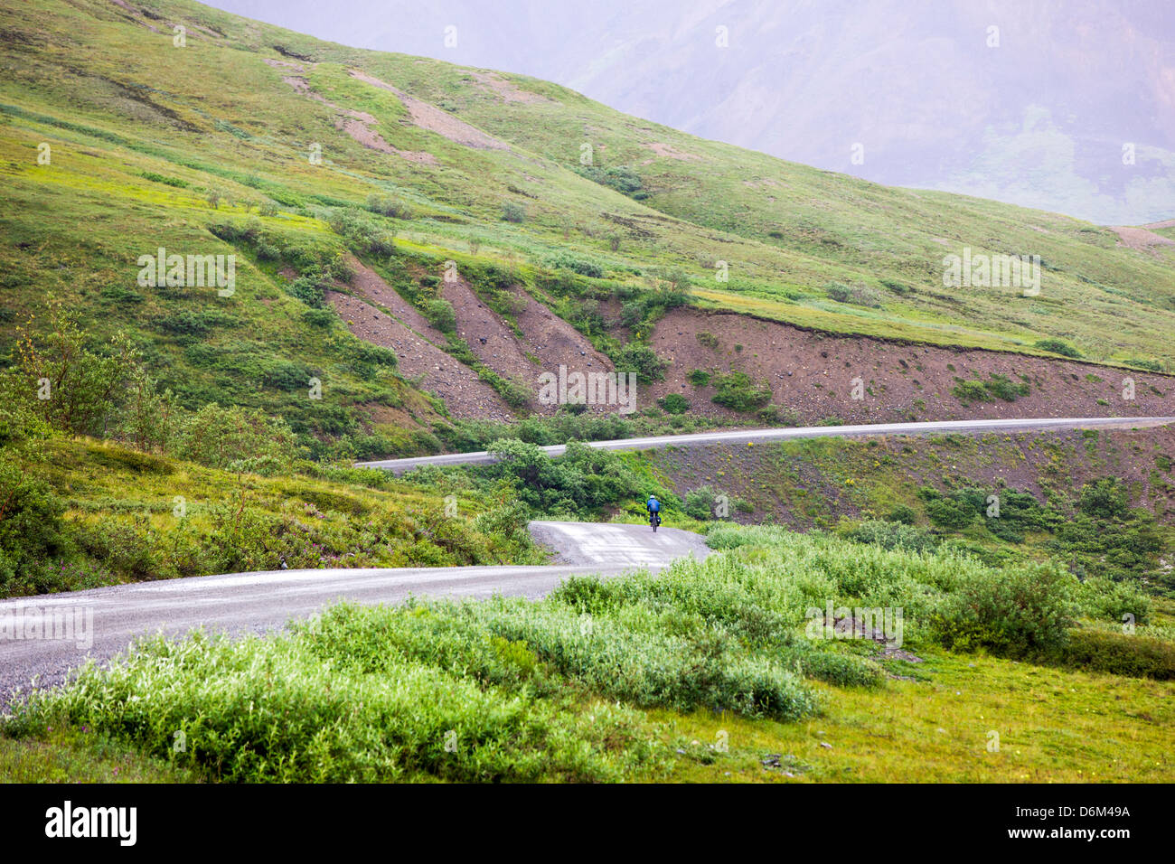 L'accès limité à l'équitation cycliste road, Denali National Park, Alaska, USA Banque D'Images