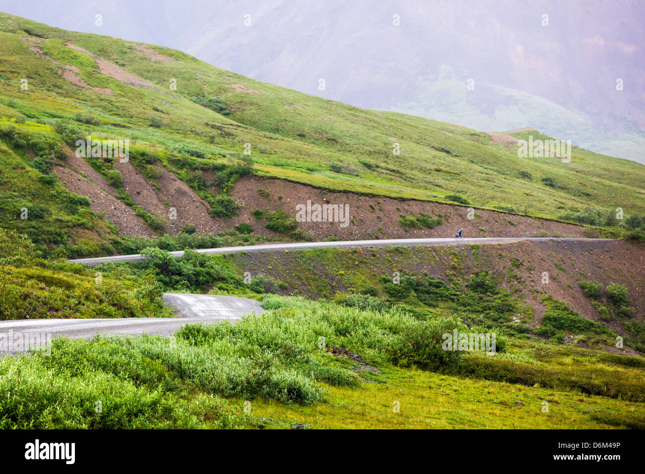 L'accès limité à l'équitation cycliste road, Denali National Park, Alaska, USA Banque D'Images