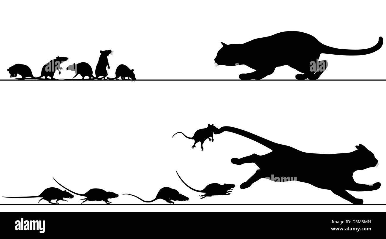 L'Illustre des silhouettes d'un chat la traque des rats qui puis chase il Banque D'Images
