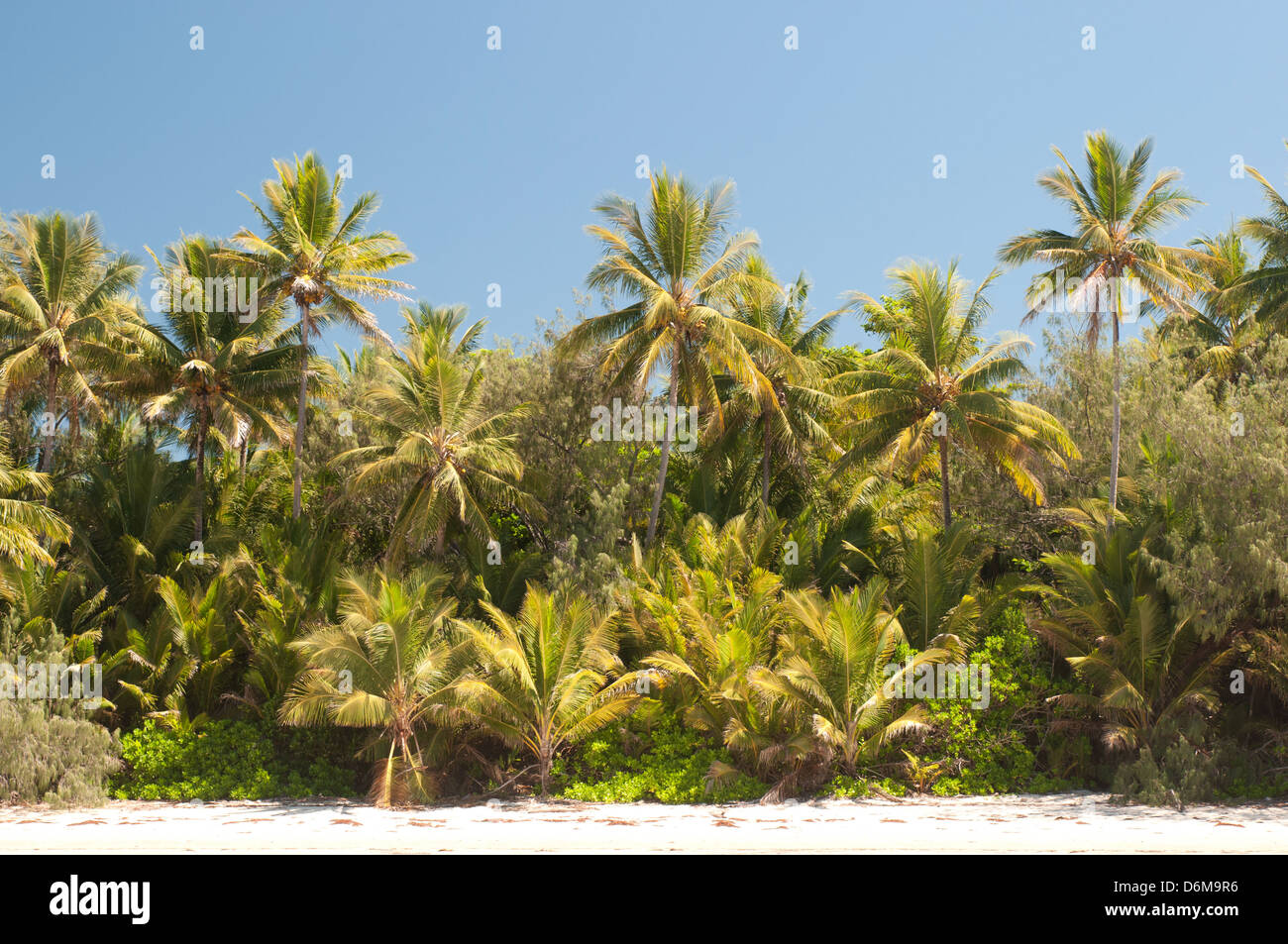 Plage de Port Douglas, l'extrême nord du Queensland, Australie Banque D'Images
