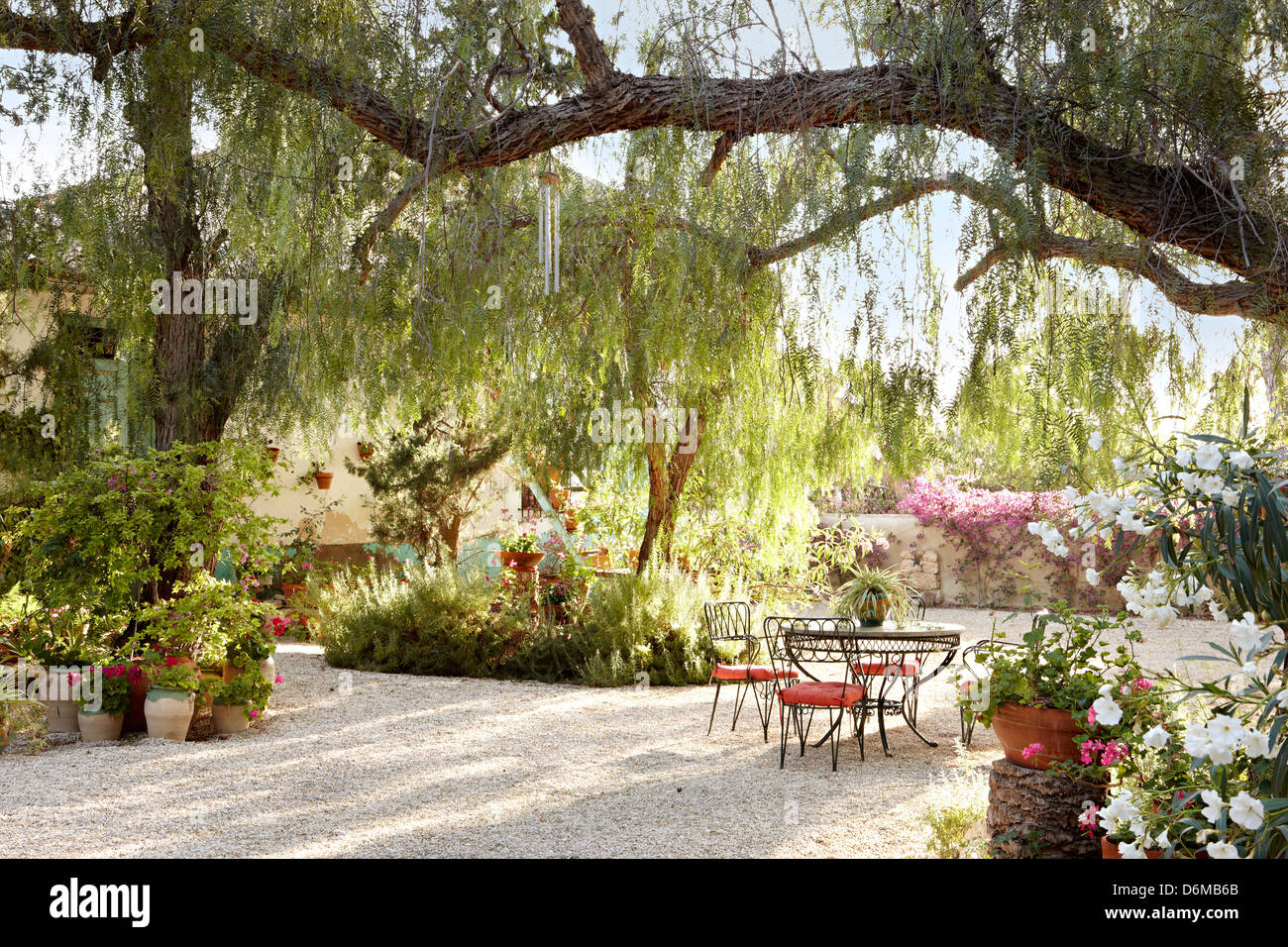 Cour jardin arbres vignes surplombant penchant la luxuriante chaussure Beverly Feldman designers maison Alicante Espagne Banque D'Images