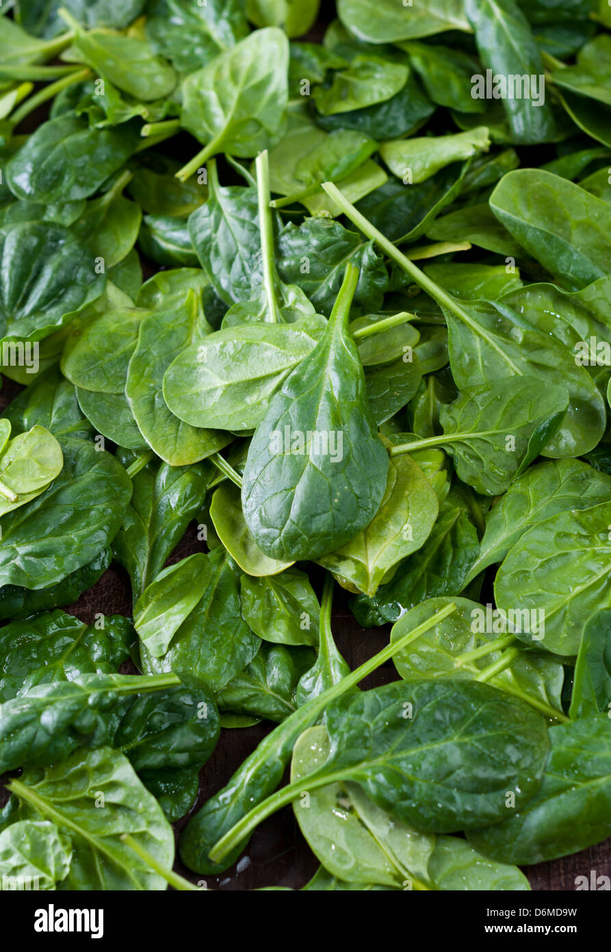 Les feuilles d'épinards frais biologiques composition Banque D'Images