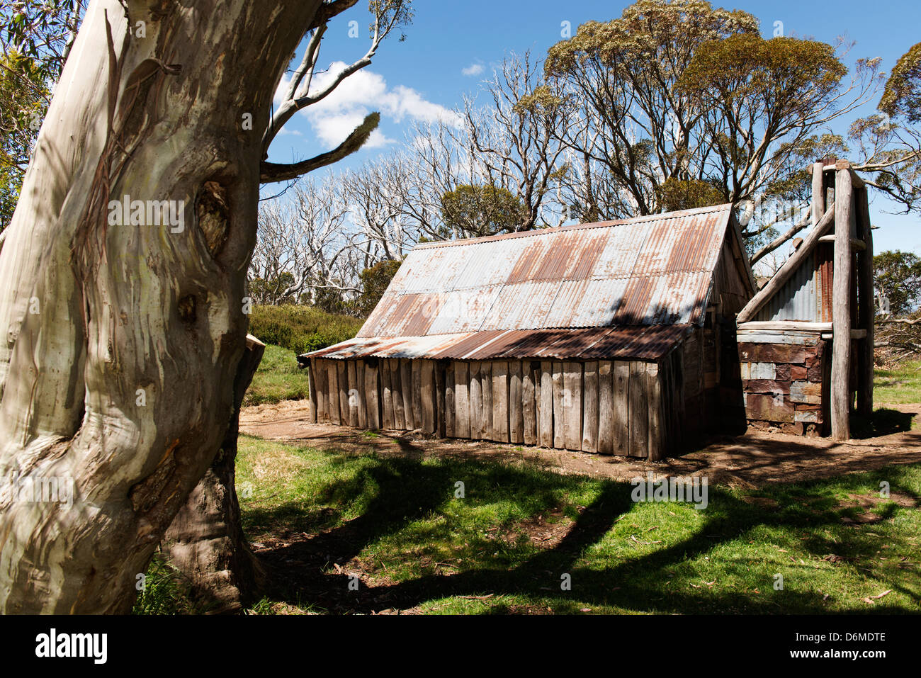 Wallace de l'Alpine National Park est le plus vieux de 106 huttes dans le parc, généralement construite par les éleveurs. Banque D'Images