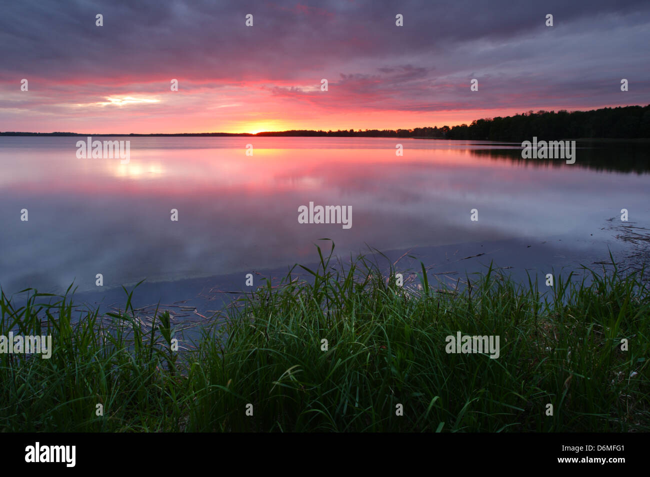 Saadjärv Lac au coucher du soleil. L'Estonie, Europe Banque D'Images
