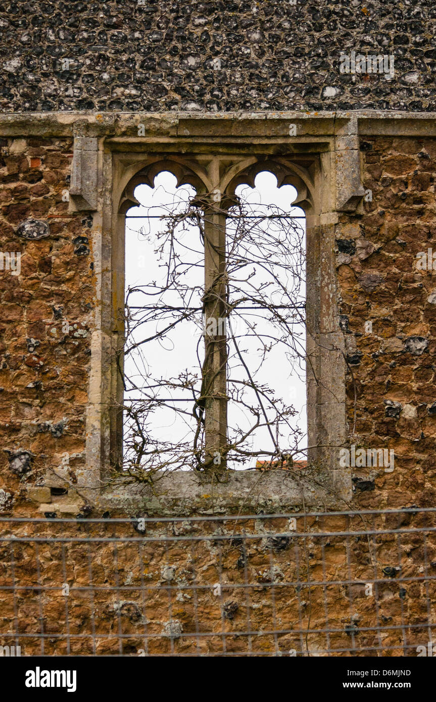 Fenêtre à l'abandon de la ville médiévale de St Osyth's Priory, Essex, Angleterre, avec des branches qui poussent à travers elle ; clôture en premier plan. Banque D'Images