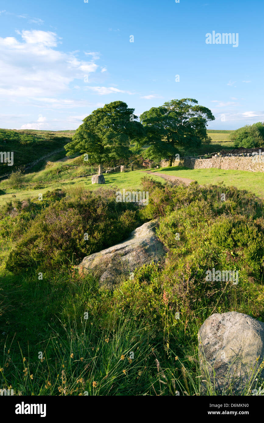 Une scène d'été près de bord Buxton, parc national de Peak District. Banque D'Images