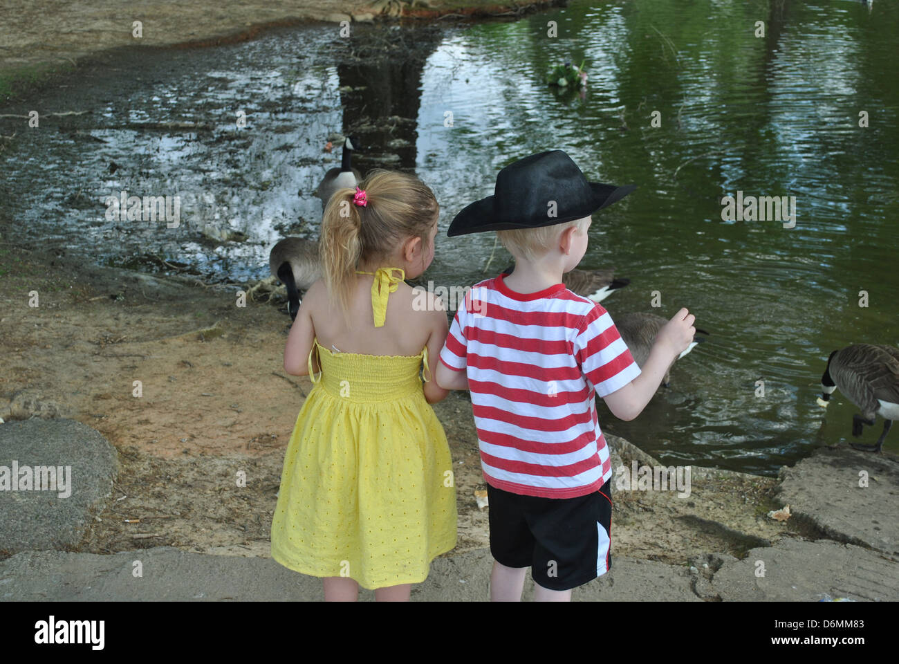 Les petits enfants à nourrir les canards park Banque D'Images