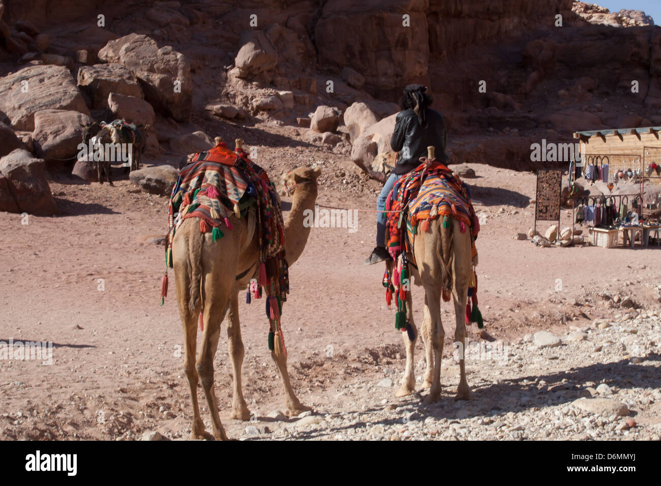 Les chameaux et guide pour les touristes de la cité perdue de Petra, Jordanie, une aventure de voyage Banque D'Images